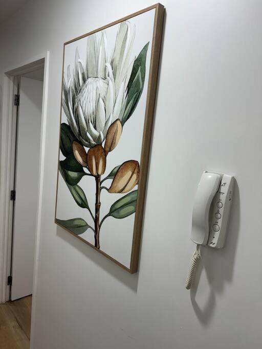 Stunning 3 Bd - 2 Bth City Apt - Pool & Carpark Auckland Exterior foto